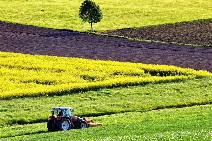 Мінекономіки підтримало модель ВАР щодо концентрації землі в одних руках