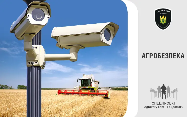 Пильне око: все про ефективні системи відеонагляду на господарствах