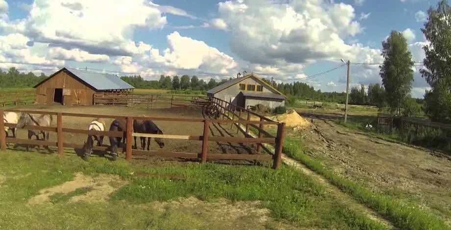 Чи може єдиний засновник фермерського господарства виконувати функції управління без оформлення трудових відносин? Чи потрібно це прописати в статуті?