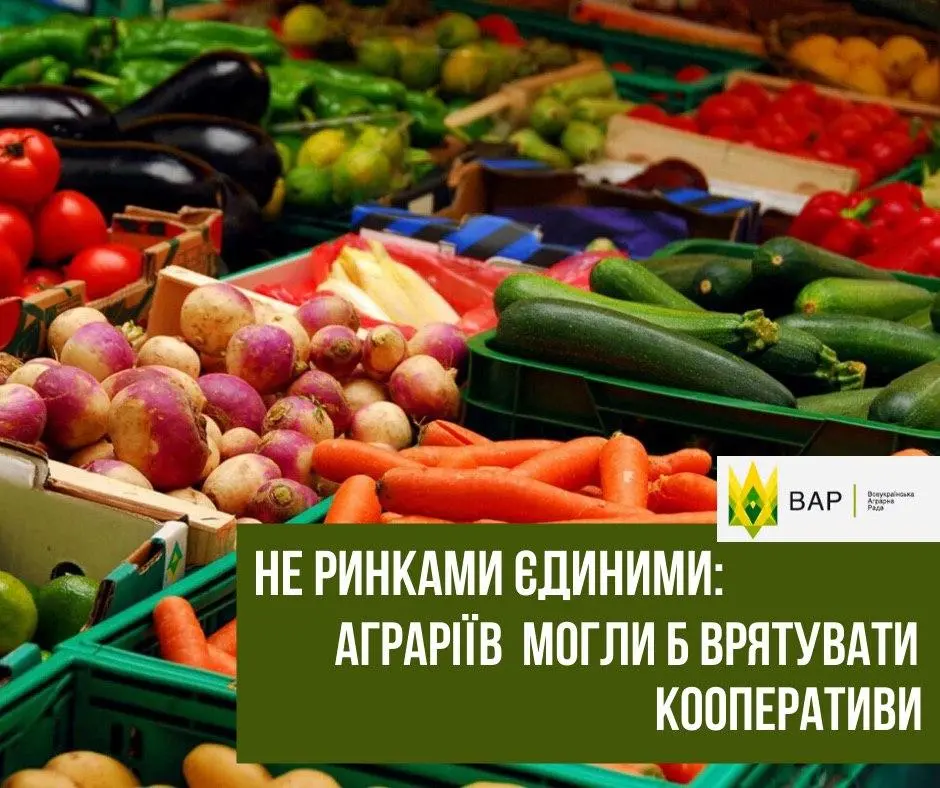 Не ринками єдиними: аграріїв могли б врятувати кооперативи