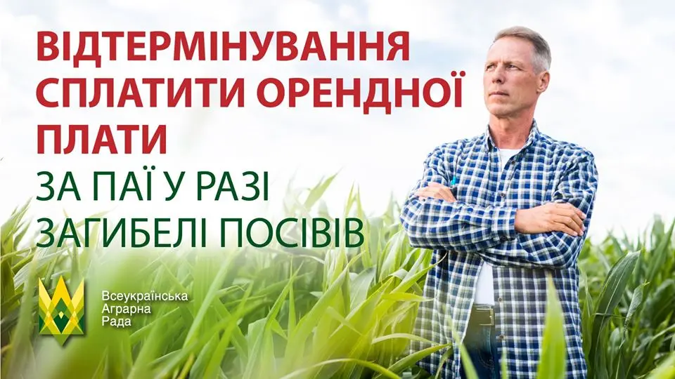 Що робити з сплатою орендної плати за паї у разі загибелі посівів?
