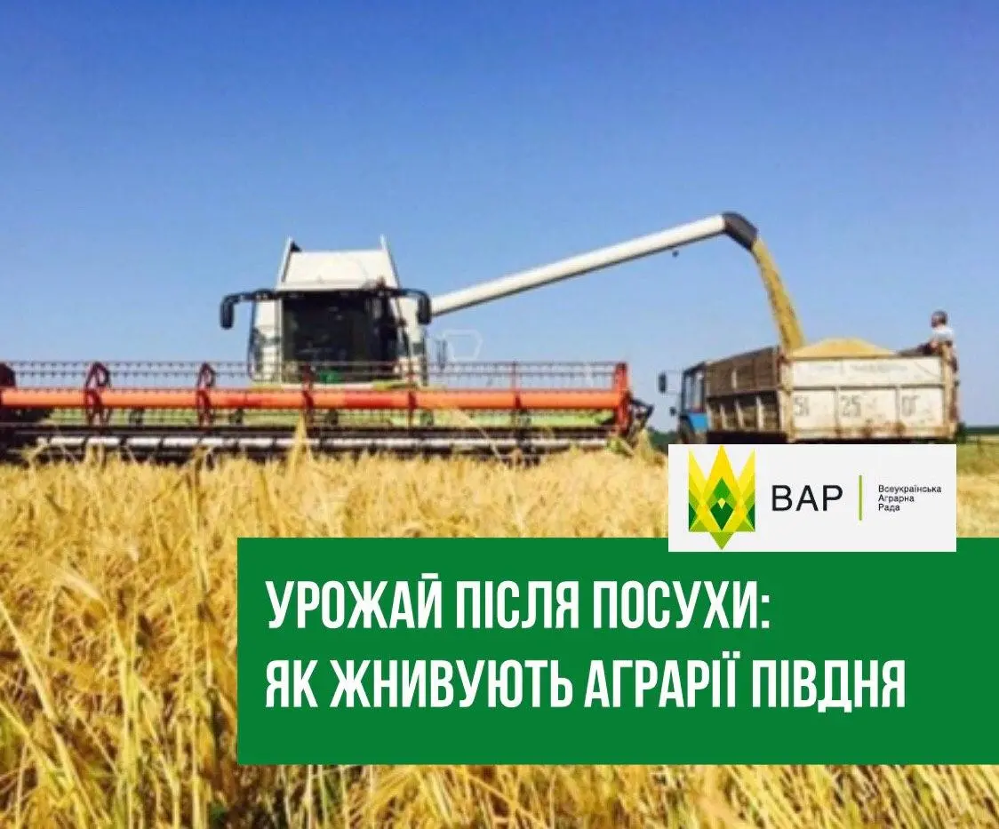 «Ситуація критична, а нас просто кинули напризволяще», - аграрії Півдня про жнива після посухи