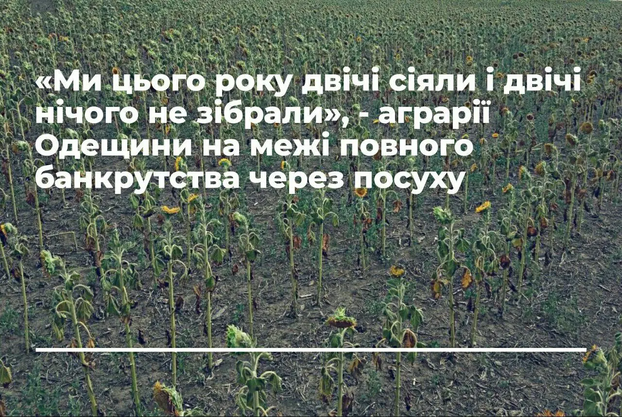 «Ми цього року двічі сіяли і двічі нічого не зібрали», - аграрії Одещини на межі повного банкрутства 