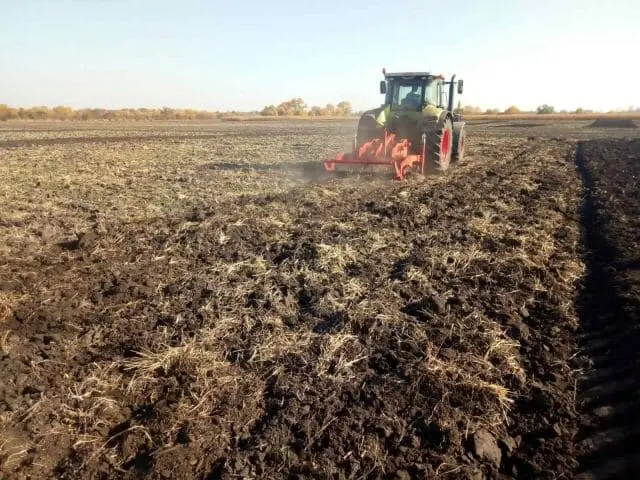 Волога знову в дефіциті: як аграрії Одещини завершили посівну