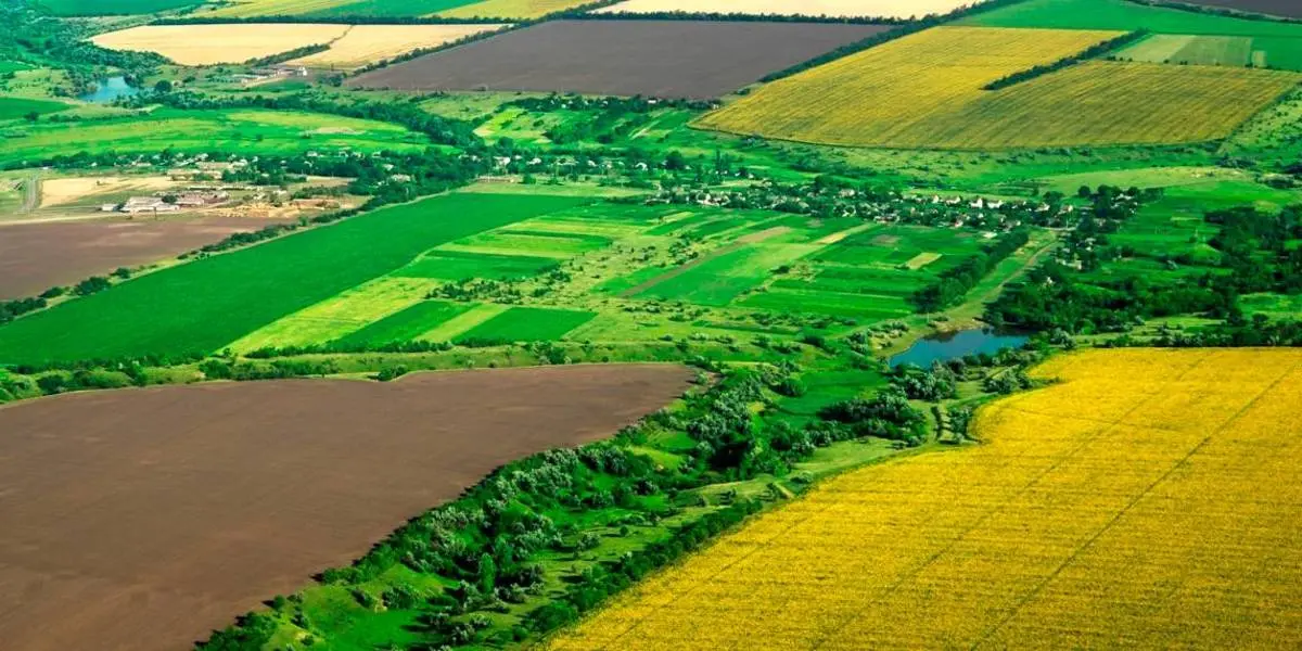 Земельна децентралізація: законопроєкт №2194 під мікроскопом (АНОНС)