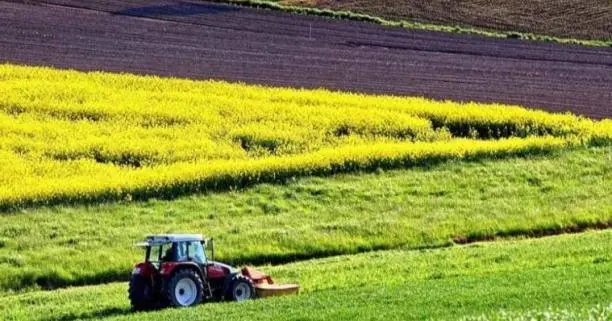 Переоформлення договору оренди земельної ділянки: що з орендною платою