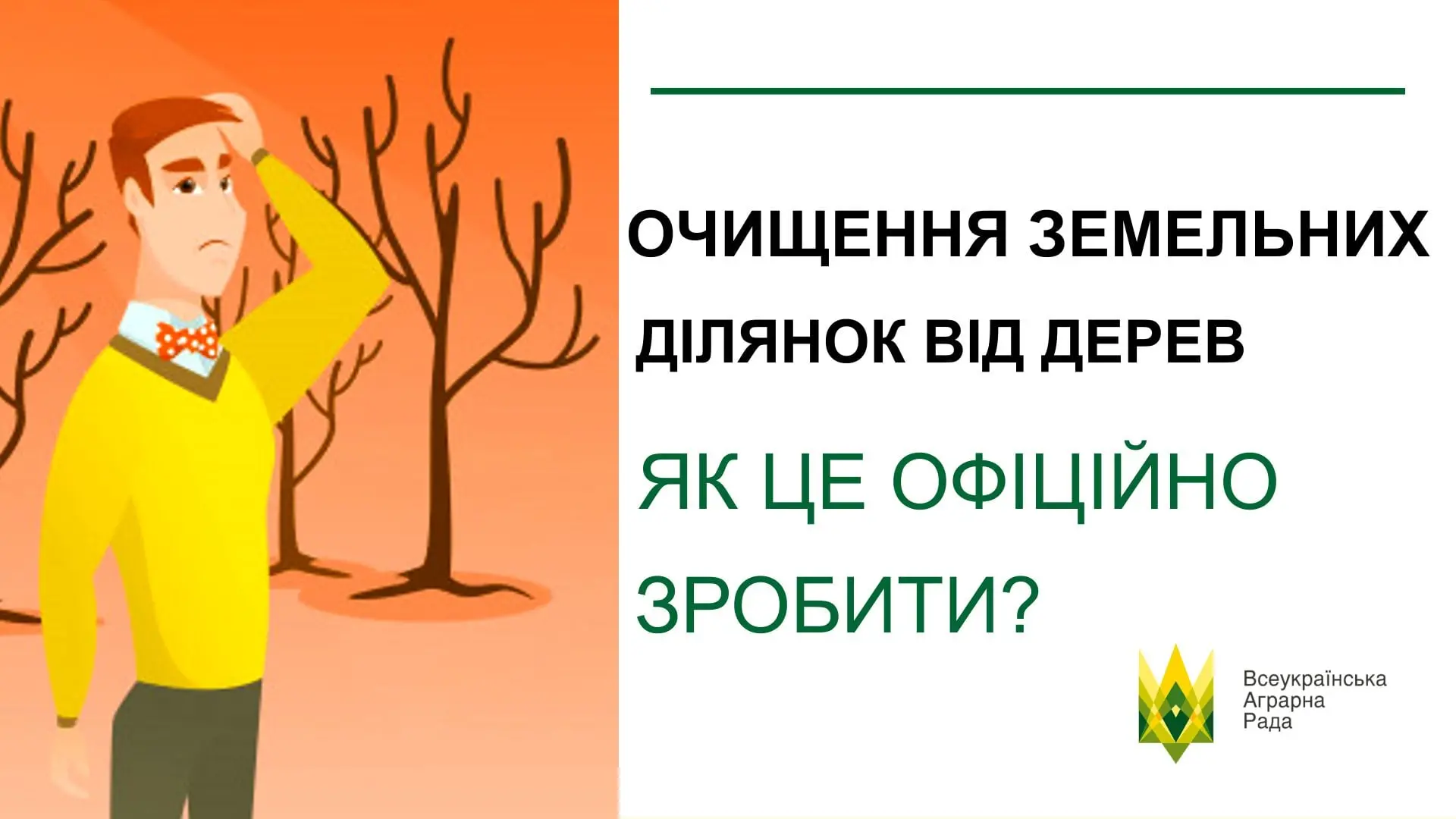 Очищення земельних ділянок від дерев, як це офіційно зробити?