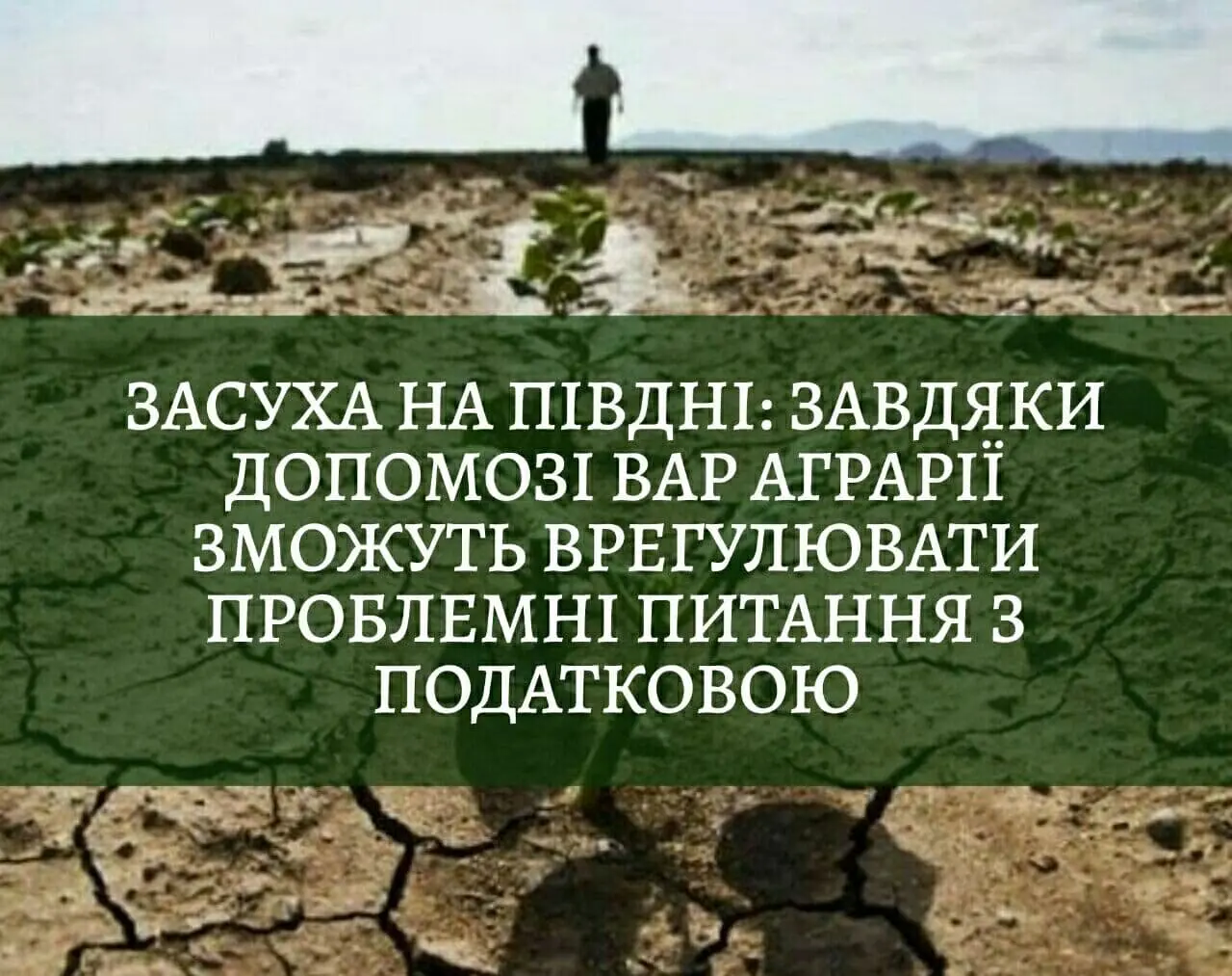 Засуха на півдні: завдяки проведеній роботі ВАР постраждалі аграрії зможуть врегулювати проблемні питання з податковою