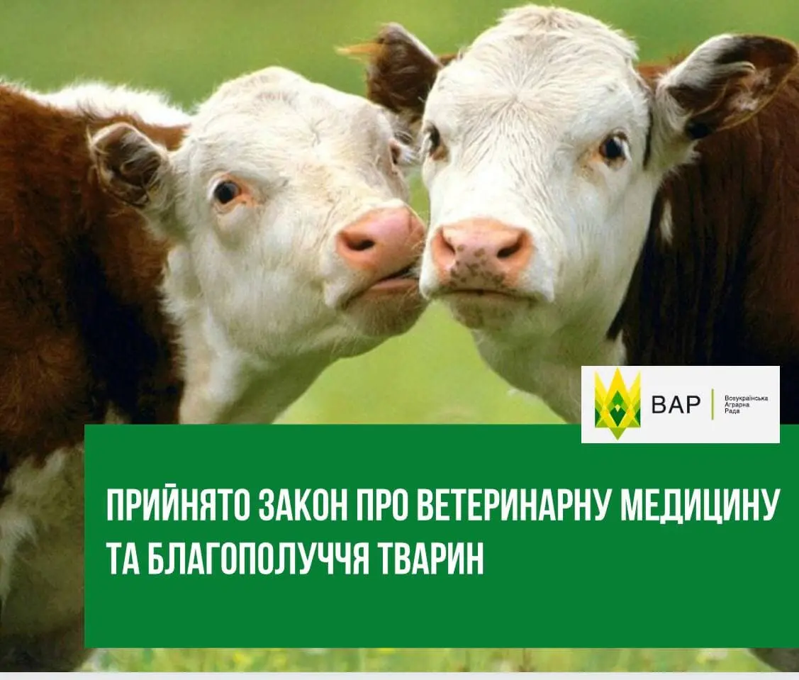 Прийнято закон про ветеринарну медицину