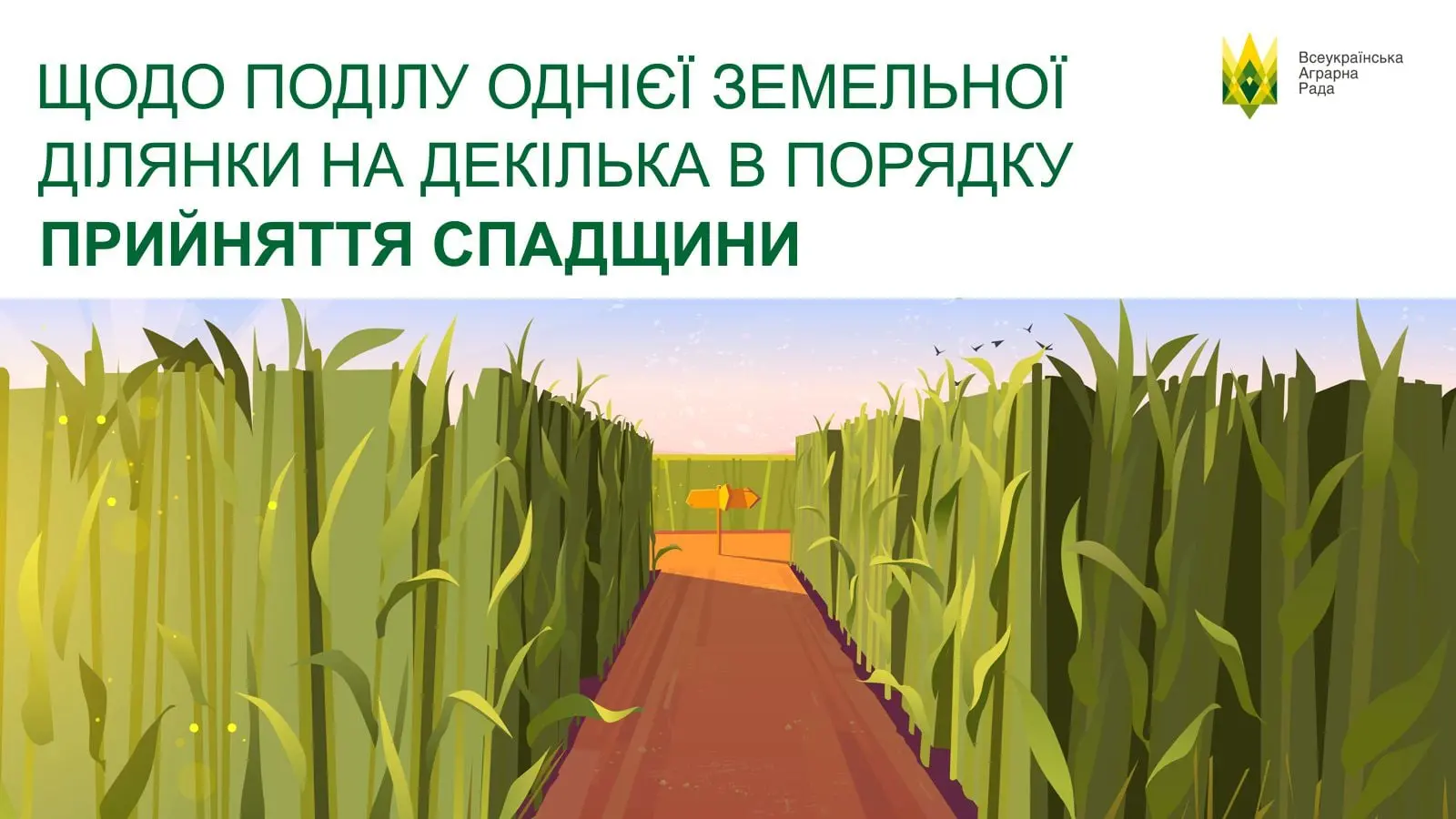 Щодо поділу однієї земельної ділянки  на декілька в порядку прийняття спадщини