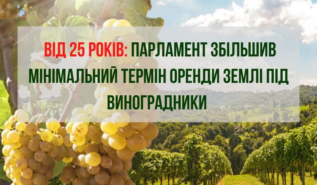 Від 25 років: парламент збільшив мінімальний термін оренди землі під виноградники 