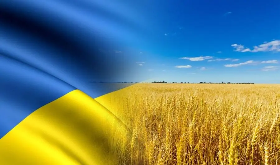 Аграрії внесли пропозиції до Плану відновлення України