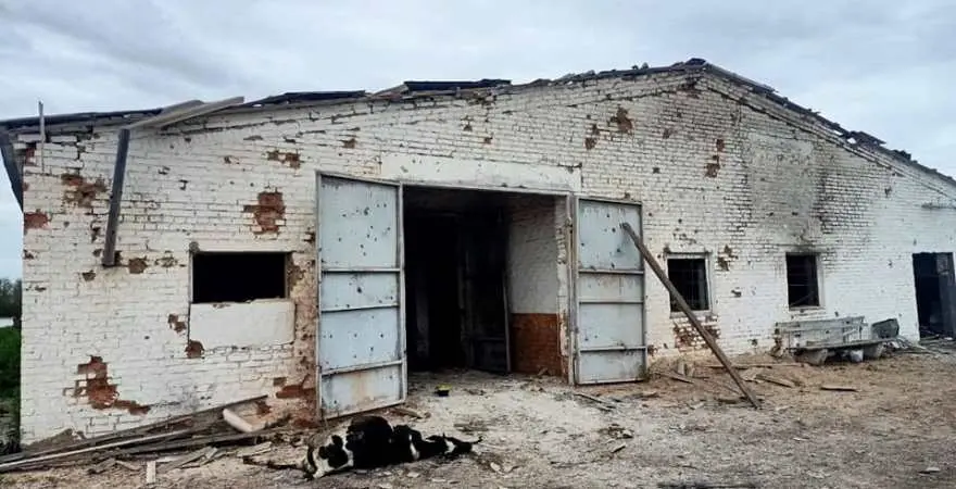 ВАР спільно з Програмою USAID – Агро допоможуть зафіксувати збитки агропідприємствам