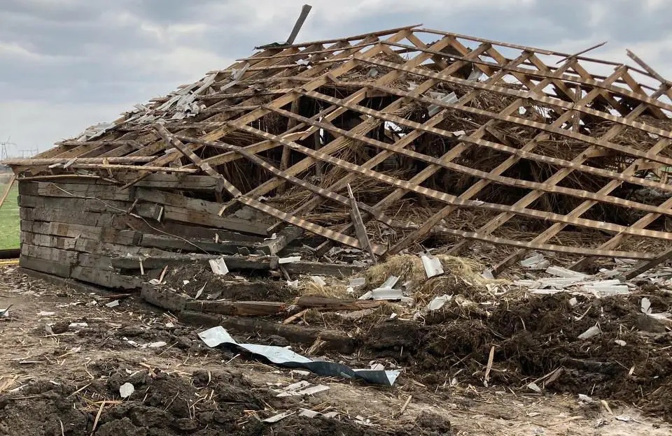 Як скласти документ про обстеження нерухомості, пошкодженої війною та/або загибель с/г тварин, щоб не повертати кошти, отримані за держпрограмами на їх будівництво/закупівлю?