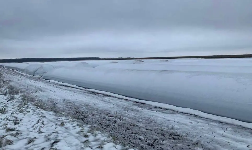 Через несприятливі погодні умови процес закладання зерна в полімерні рукава сповільнився