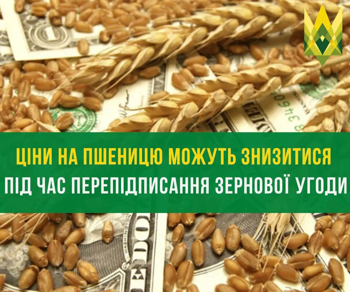 Ціни на пшеницю можуть знизитися під час перепідписання зернової угоди