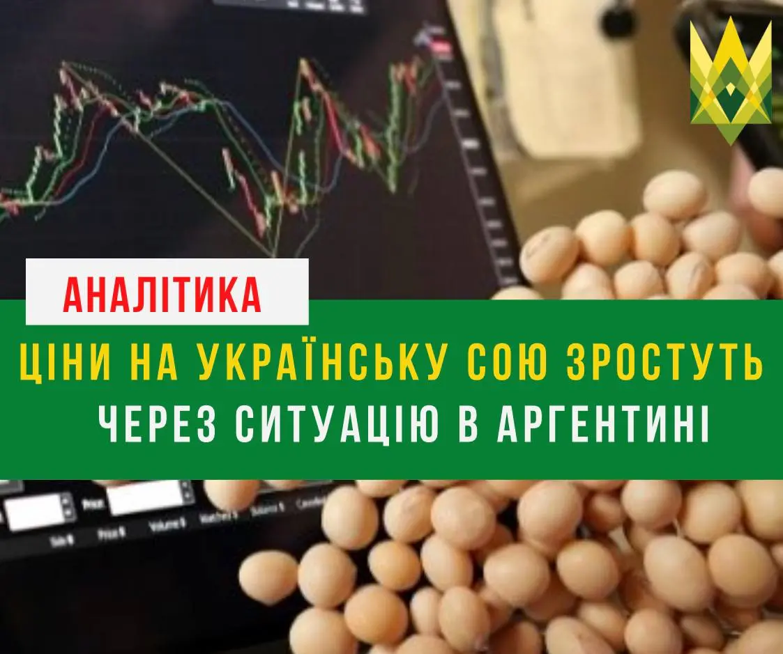 Ціни на українську сою зростуть через ситуацію в Аргентині