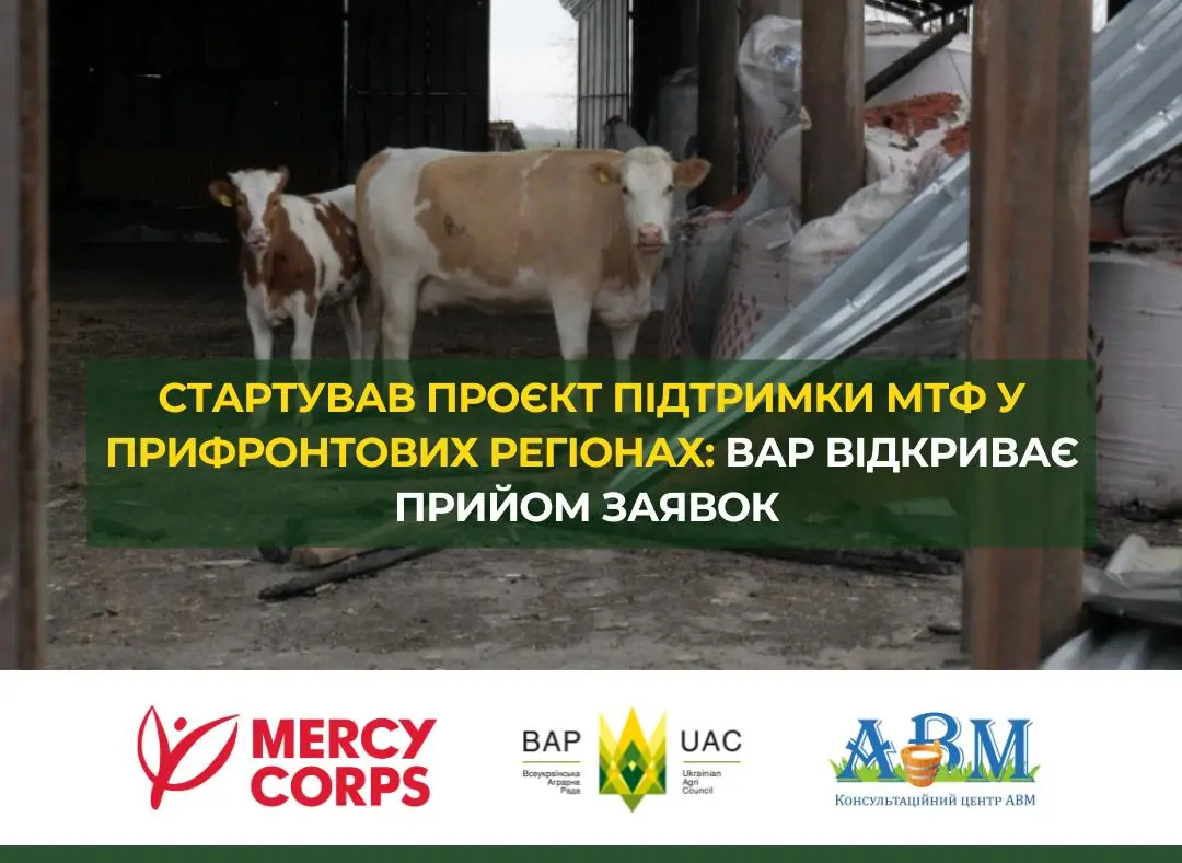 Стартував проєкт підтримки молочно-товарних ферм у прифронтових регіонах: ВАР відкриває прийом заявок