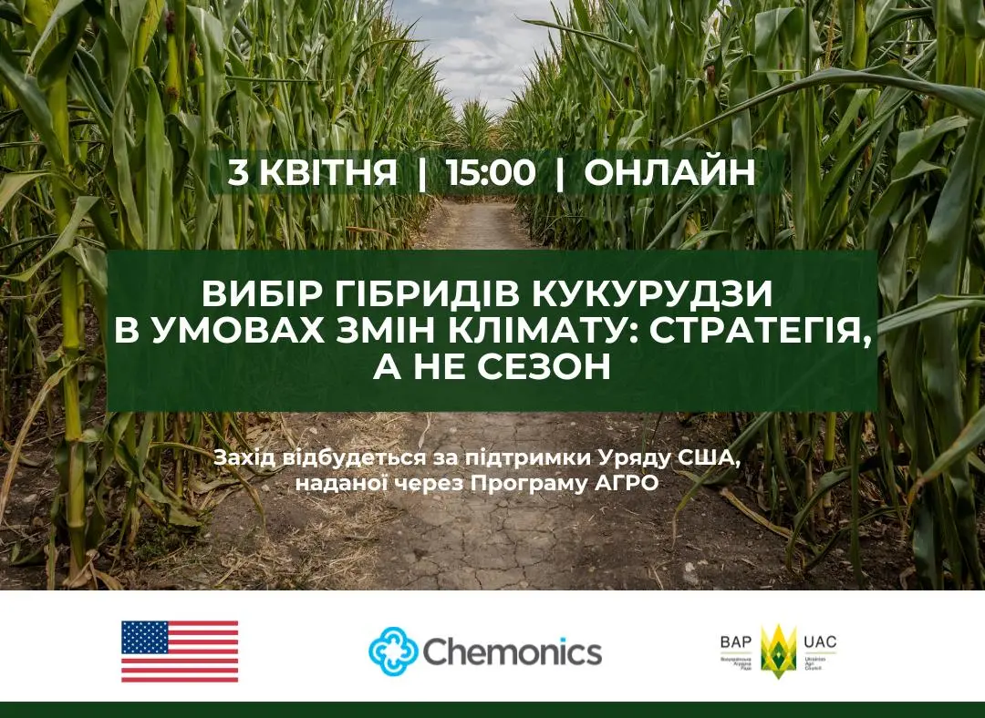 Вибір гібридів кукурудзи в умовах змін клімату: стратегія, а не сезон