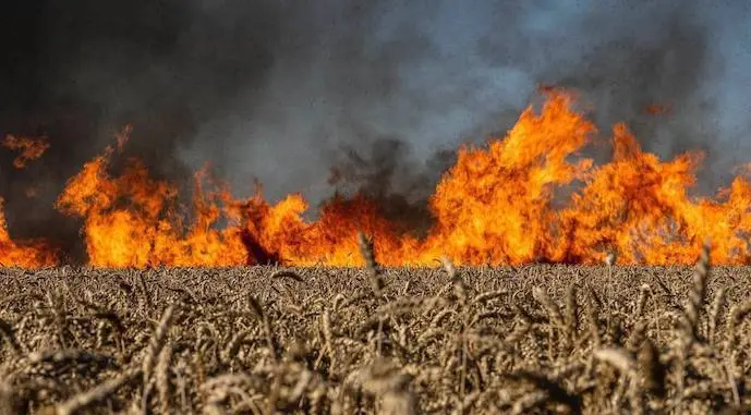 The UAC Calls on the Relevant Ministry to Turn to the European Commission for Help Over the Destruction of Crops and Machinery