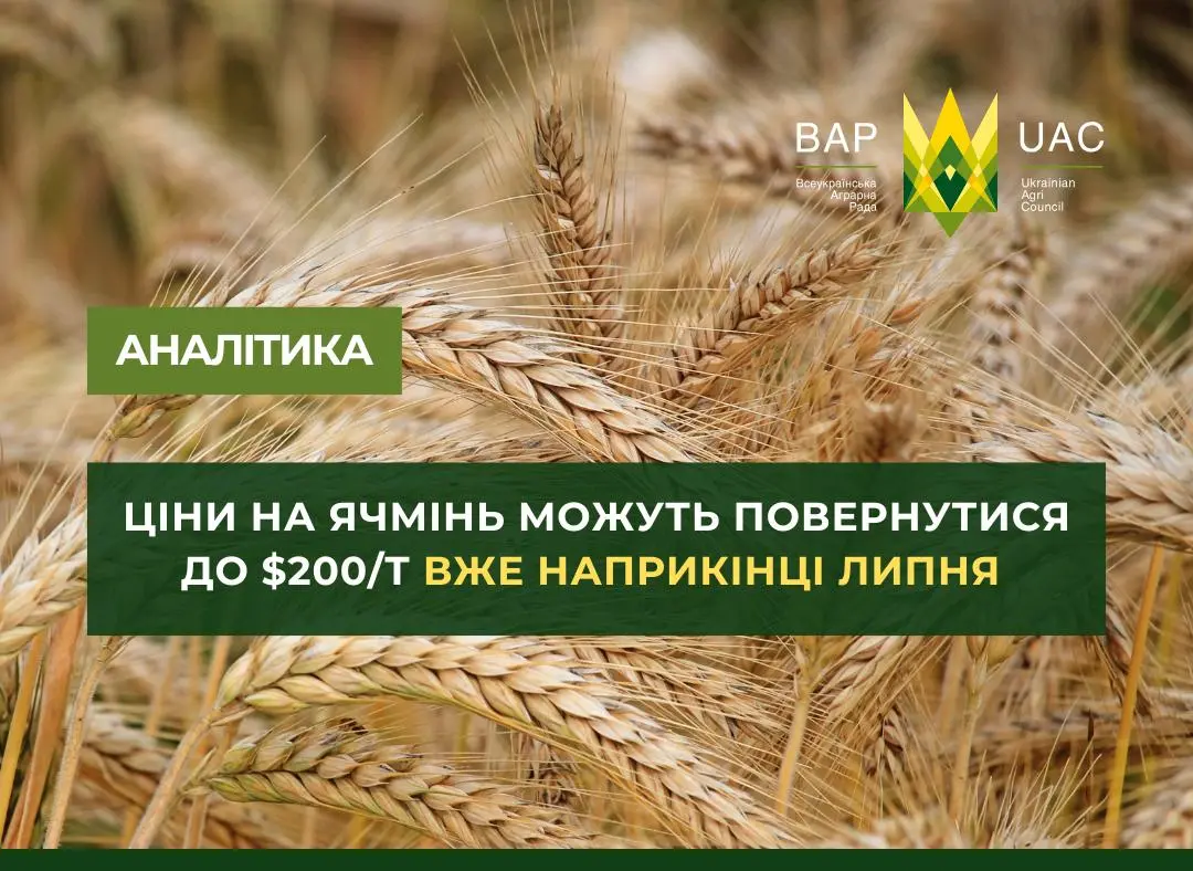 Ціни на ячмінь можуть повернутися до $200/т вже наприкінці липня 