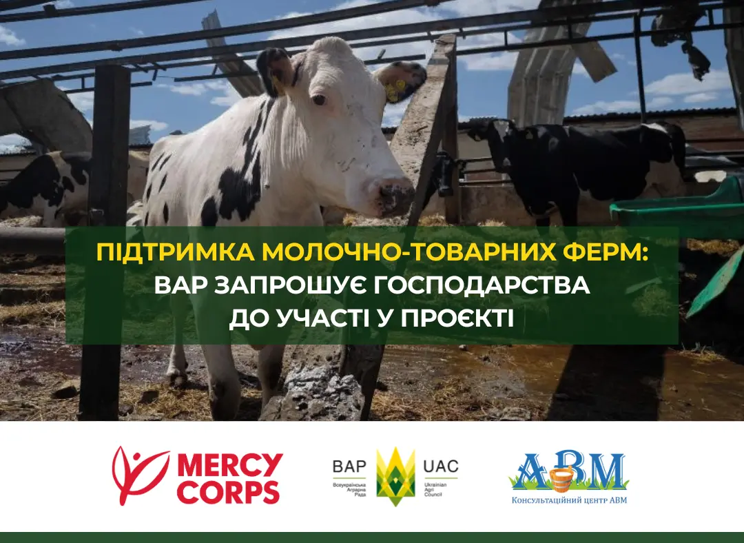 Підтримка молочно-товарних ферм у прифронтових регіонах: ВАР запрошує господарства до участі у проєкті