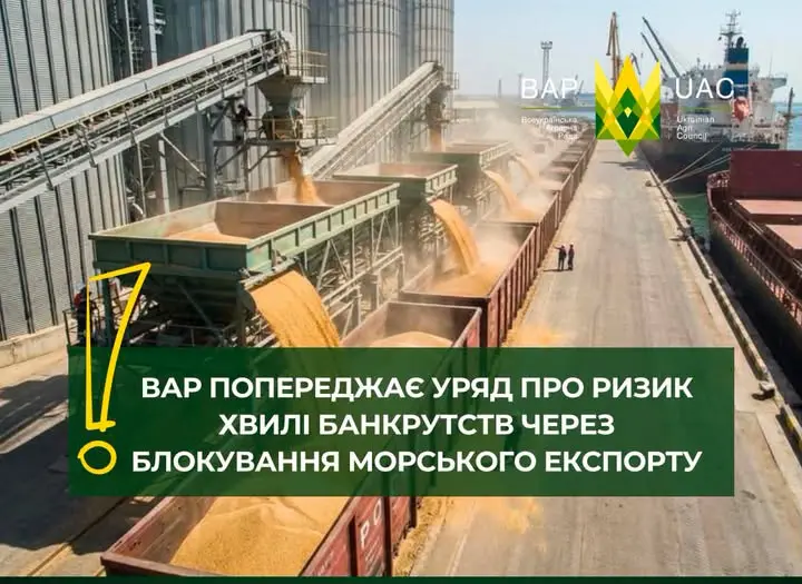 ВАР попереджає уряд про ризик хвилі банкрутств через блокування морського експорту