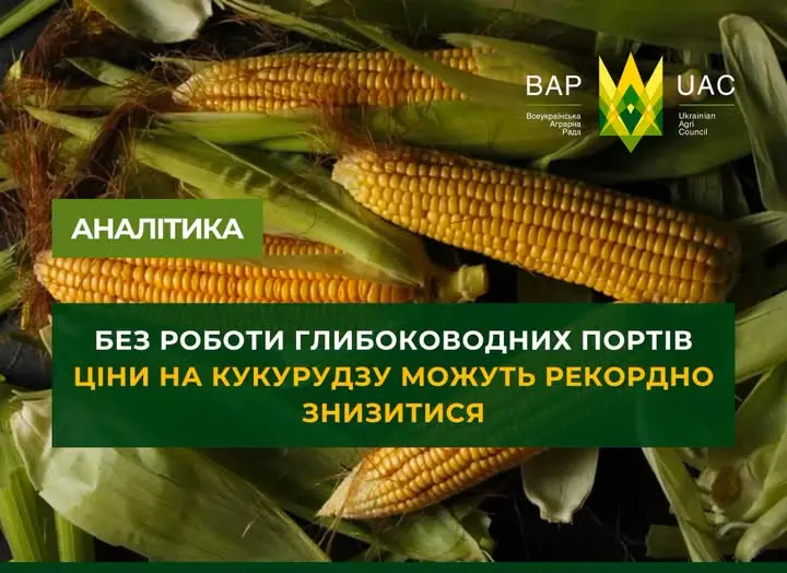 Без роботи глибоководних портів ціни на кукурудзу можуть рекордно знизитися