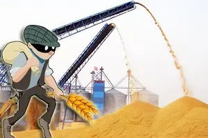 На Одещині в аграріїв перед посівною викрадають насіння