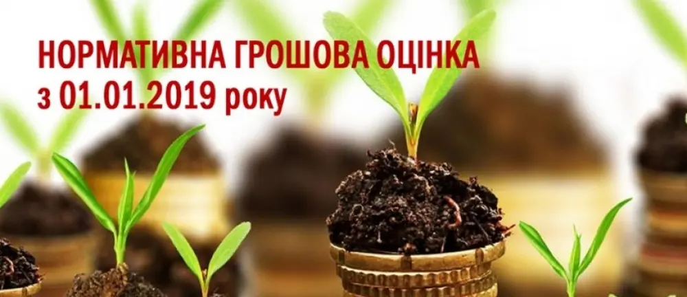 Термін перерахунку НГО