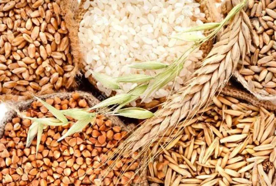 Ліцензія на продаж посівного матеріалу